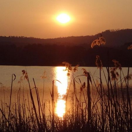 Ilsenhof Am Turnersee Obersammelsdorf ภายนอก รูปภาพ