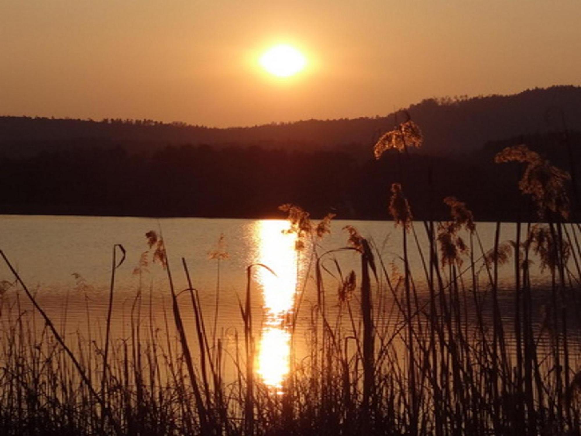 Ilsenhof Am Turnersee Obersammelsdorf ภายนอก รูปภาพ