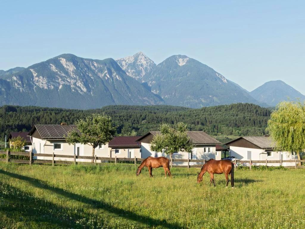Ilsenhof Am Turnersee Obersammelsdorf ภายนอก รูปภาพ
